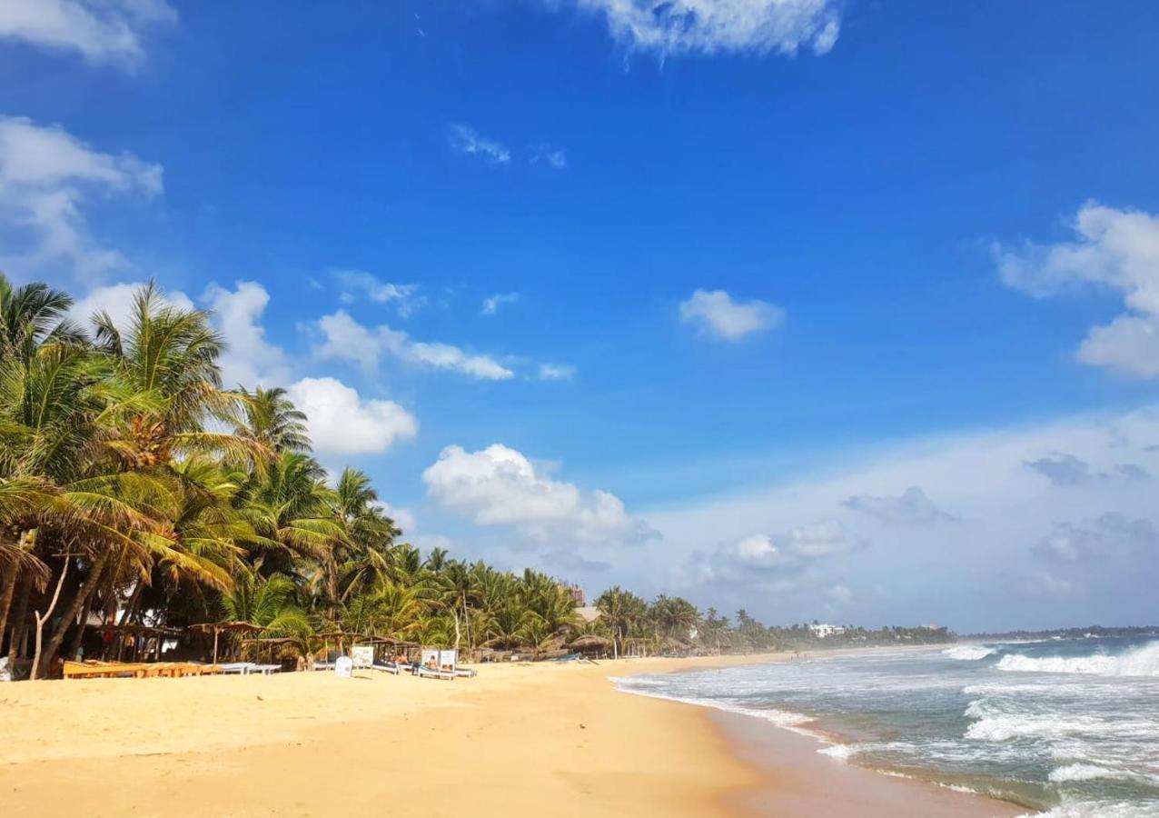Lily Holiday Apartments Hikkaduwa Esterno foto